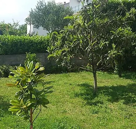 Apartment Panoramic View